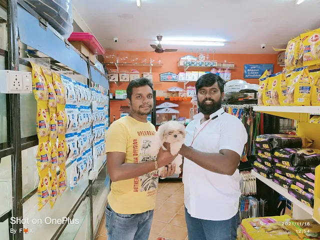 BOWW & FISH PET'S SHOP - 4