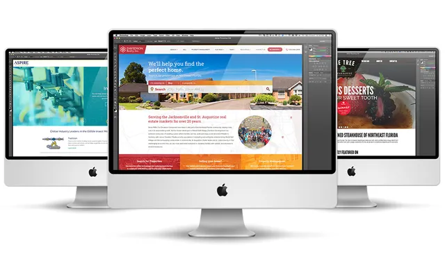 SRGIT Design And Development - 3