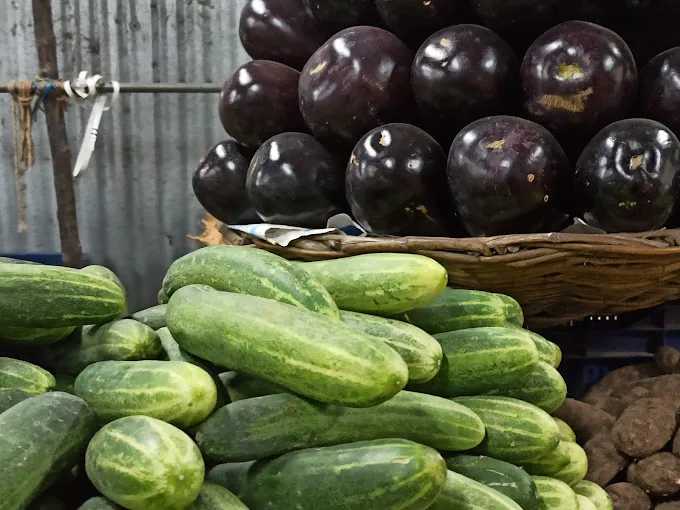 Photo Boys Corporate Office