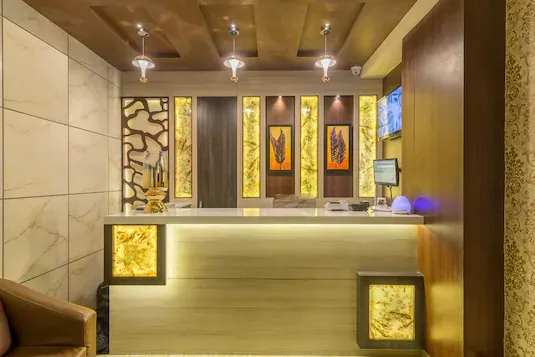 Treebo Trend Nestlay Airport Hotel in Chennai - 2