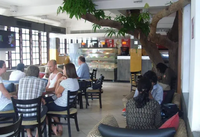 Hotel Mango Tree Inn - 3