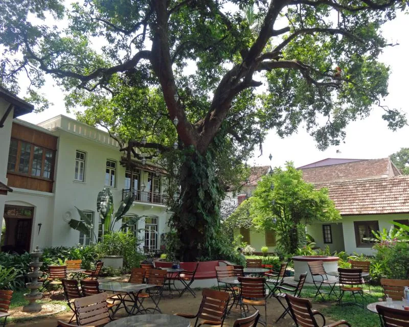 Hotel Mango Tree Inn