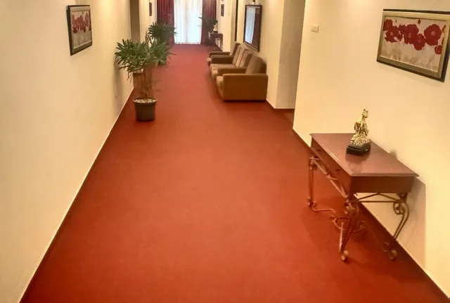 THE HOTEL RAJA PALACE - 3