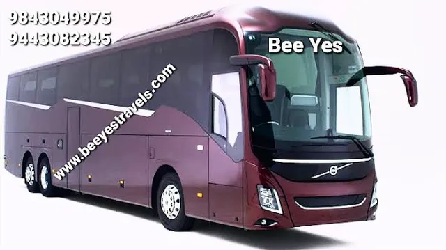Bee Yes Travels - 4