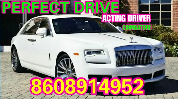 PERFECT DRIVE acting driver service