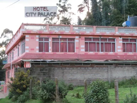 Hotel City Palace