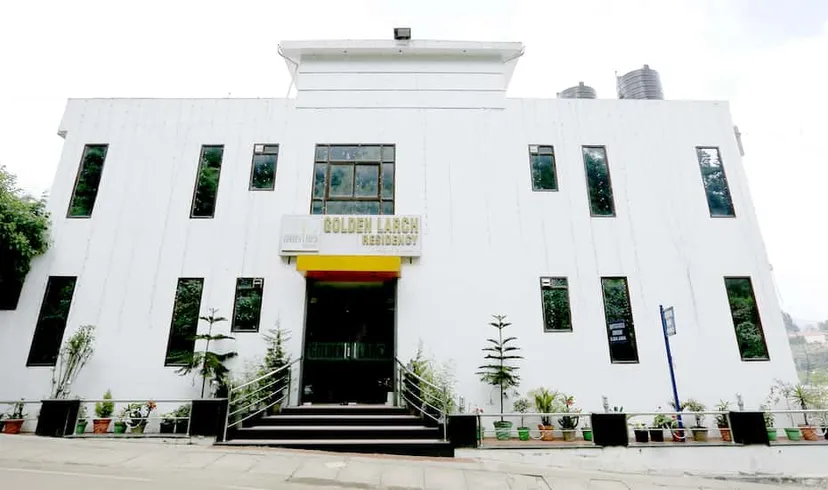 Golden Larch Residency