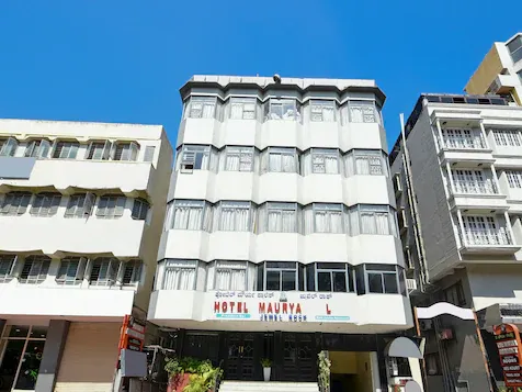 Hotel Maurya Palace