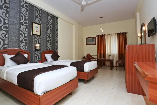 Collection O 9133 The Olive Star - 4