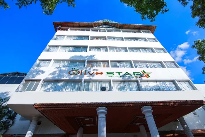 Collection O 9133 The Olive Star