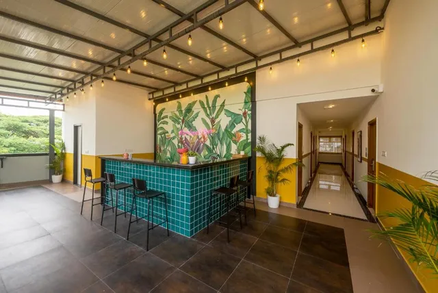 Olive HAL 2nd Stage - 3