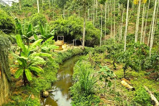 Royal Stream Wayanad - 3