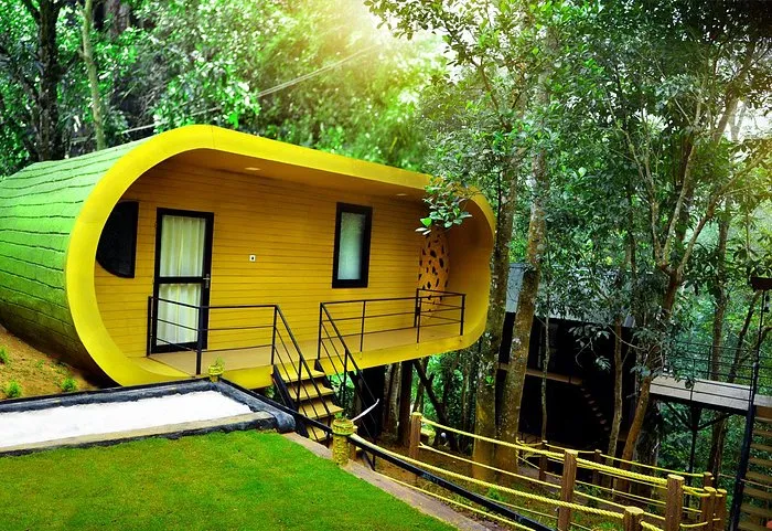 Jungle Beats Resorts