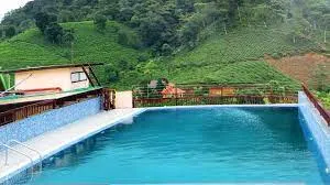 Wayanad Gate Resort - 2