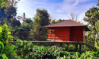 VMJ Wild Stay Hut stay - 2