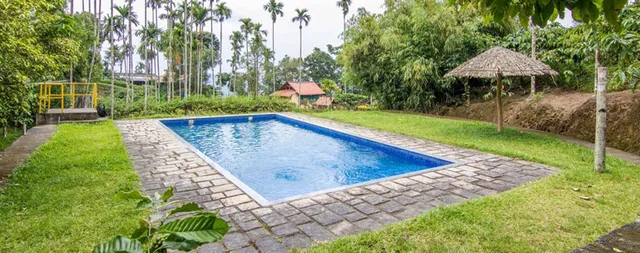 Marmalade Springs - 2