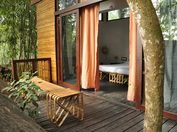 Uravu Bamboo Grove - 4