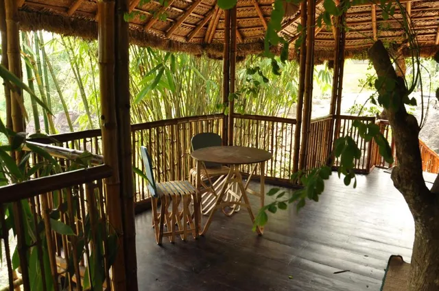 Uravu Bamboo Grove - 2