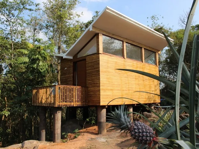 Uravu Bamboo Grove