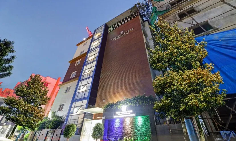 Treebo Trend The White Tree