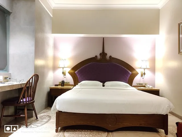 Hotel Sai Palace Navaratna - 4