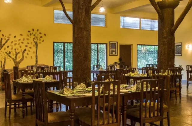 Hotel Coorg International - 3
