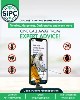 Sequre India Pest Control Private Ltd