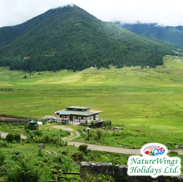 Bhutan Package Tour from Delhi – Explore Untouched Natural Beauty - 4