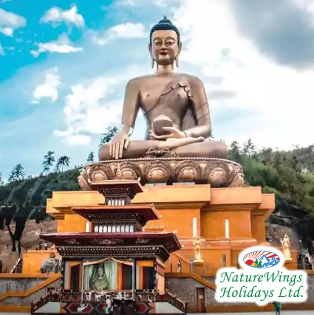 Bhutan Package Tour from Delhi – Explore Untouched Natural Beauty - 7