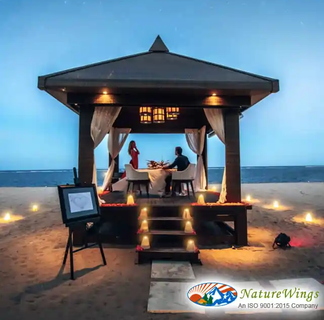 Planning Your Seamless Bali Packages from Kolkata: Flights & Logistics - 3
