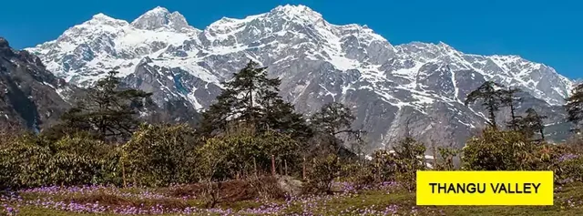 Sikkim Gangtok Package Tour: Your Complete 2026 6N/7D NJP/Bagdogra Guide || NatureWings Holidays Limited - 3