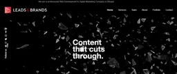 leads and brands