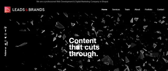 leads and brands