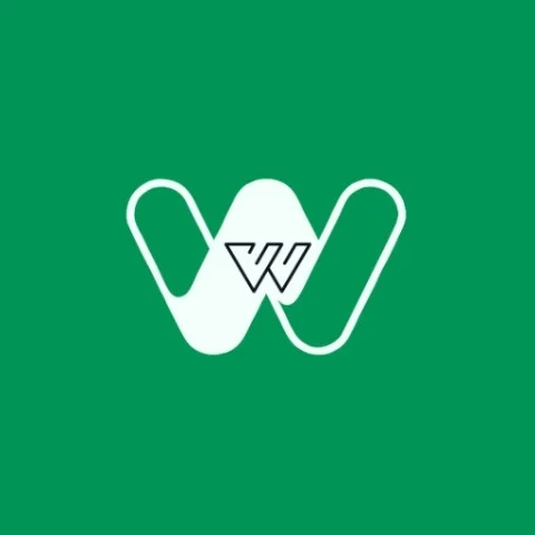 Website Development Company in Delhi - WildWeb Digital